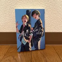 境界のメロディ