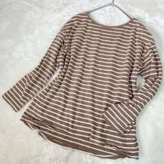 a756【美品】シンプリシテェ　ストライプコットンTシャツ　ブラウン　ホワイトのサムネイル