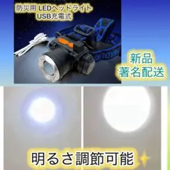 Item thumbnail for item cb06dfdc-94b9-4273-9e1a-89003e16c946