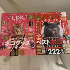 ネコ 猫 LDK 2025&2026 2冊セット
