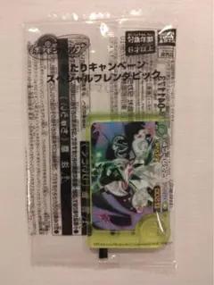 カンナバーロ55様 リクエスト 2点 まとめ商品