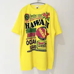 【美品】Tシャツ LL XL Hawaii