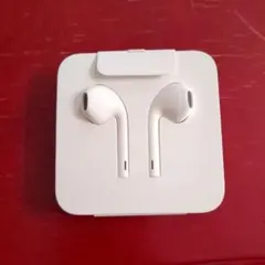【Apple純正 】Apple Ear Lightningコネクタ付き