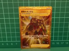 葉隠れポンチョ UR S12 パラダイムトリガー 124/098のサムネイル