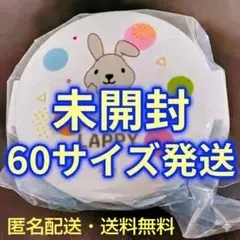미개봉 ラッピー お弁当箱 2段 抗菌 日本製 スケーター ラヴィット 遠足
