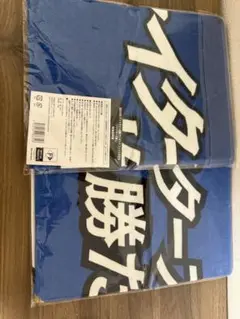 ファイターズ　FAV限定タオル　ファイターズ推し　ファイターズしか勝たん　セット