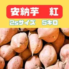 安納芋 紅　2Sサイズ 5㌔　種子島産 種子島の大地で育った拘りの安納芋