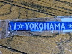 横浜DeNAベイスターズ☆CS2024I★YOKOHAMAアクリルキーホルダー