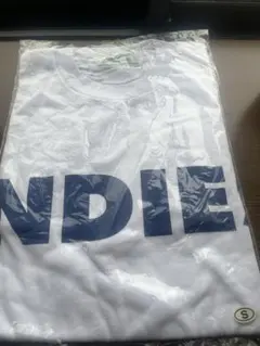 Item thumbnail for item 123b47ba-ff13-486a-b30c-0cca8f88e59d