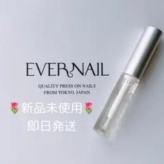 2025年最新】接着剤 エバーネイルの人気アイテム - メルカリ