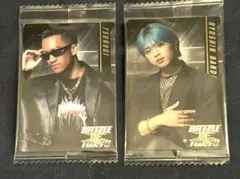 BOT ウエハース　トレカ　サイキ　サイフィ　剣 半田龍臣