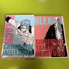 BLEACH アートカードコレクション グリムジョー 山本元柳斎重國
