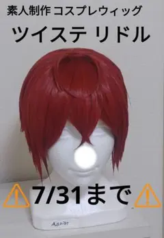 ⚠️7/31まで⚠️ツイステ リドル コスプレウィッグ 【素人制作】のサムネイル