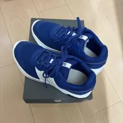 Item thumbnail for item 2d006bb8-3a2c-45b0-be5b-2ea8f0d5cb40