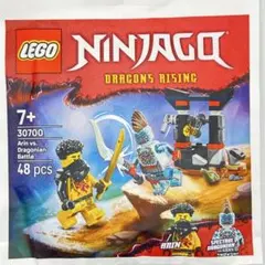 Item thumbnail for item 044ff0ef-a8fc-41d1-b409-82b0c8c931c8