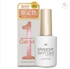 Gel Me1 Magnetism Gel L02 限定色のサムネイル