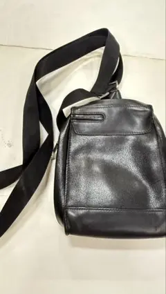 近いうち廃棄　ピクアドロ　ワンショルダー　マルチバック　箱1