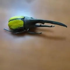 ヘラクレスオオカブト　フィギュア