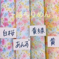 Ruu様 リクエスト 3点 まとめ商品