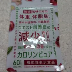 カロリンピュア 30日分 肥満気味の方の体重 体脂肪 血中中性脂肪 内臓脂肪のサムネイル