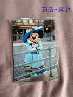 ミニーマウス　写真6枚セット