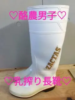 ☆酪農男子☆ 弘進ゴム ザクタス Z-100 27cm 牛舎長靴