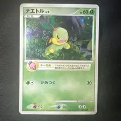 プロモーションパック ポケモンカードプレイヤーズ第5期 けいけんち