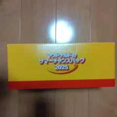 マクドナルド　サマーチャンスバッグ