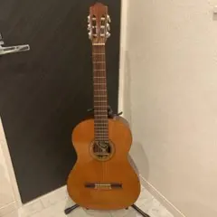 2026年最新】FERNANDES GC 20の人気アイテム - メルカリ