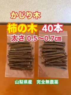 フルーツかじり木　1種類40本　甘柿　0.5〜0.7㎝　山梨県産完全無農薬のサムネイル