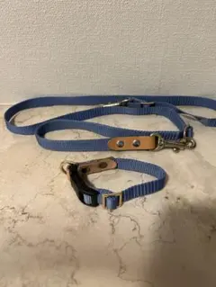 ナコルド　ドッグリードと首輪のサムネイル