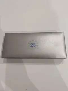 希少 ディズニー 25周年 鍵 キー キーチェーン ディズニーランド