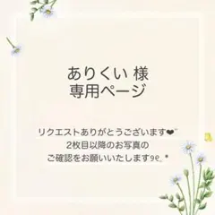 ありくい様 おまとめ10点