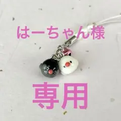 はーちゃん様　専用