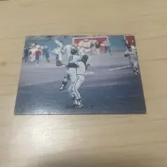 カルビープロ野球カード　1973年　南海ホークス　1月23日までの案内です。