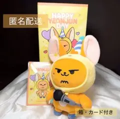 TXT ヨンジュン ファンチュン バースデー ぬいぐるみ