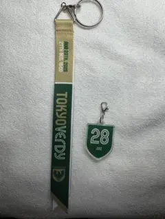 東京ヴェルディ　山本丈偉　マッチデーボンフィン　サンフレッチェ広島