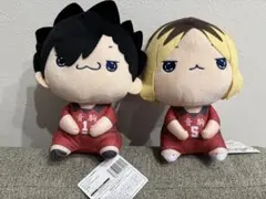 ハイキュー！！　もちぴこBIGぬいぐるみ　黒尾鉄朗　孤爪研磨　2種セット