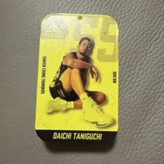 Item thumbnail for item 167cc16c-52f9-400c-be66-eec0c69ad5fd