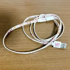 ITS'DEMO 星のカービィ PUPUPU ROCK 2in1 USBコード