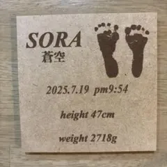 nakanakaii様　専用