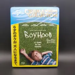 6才のボクが,大人になるまで。('14米)