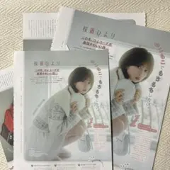 桜田ひより 2026.1 Myojo 切り抜き