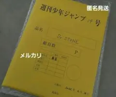 Dr.STONE　石神千空　最終話　原稿　応募者全員サービス最終話まるごと原稿