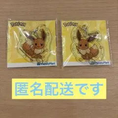 ポケモン　ブイズ　アクリルキーホルダー　イーブイ２種