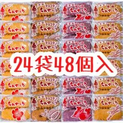 ㊗️人気商品-64㊗️沖縄・南国ちんすこう(４種類ＭＩＸ・２４袋４８個)・大好評のサムネイル