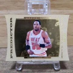 ザ*ン様 Points in a Game Alonzo Mourning