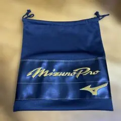 ミズノプロ　グラブ袋のサムネイル