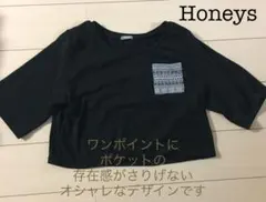 新品☆ハニーズ オシャレな北欧刺繍風ポケットヘビロテ確実カットソー Lサイズ