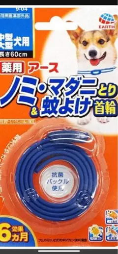 Item thumbnail for item 5911e334-987e-4c08-b1f8-04e2d5aecf34